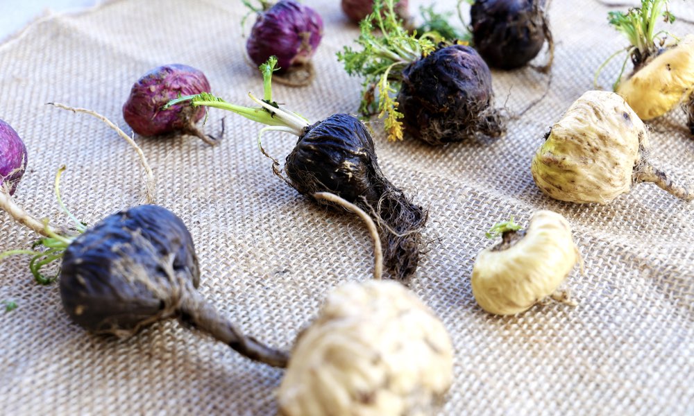 瑪卡maca